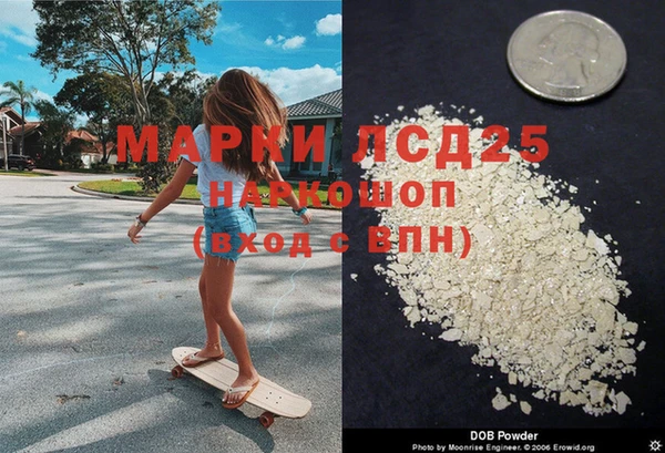 шишки Белокуриха