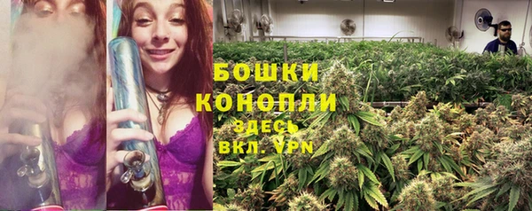СК Балахна