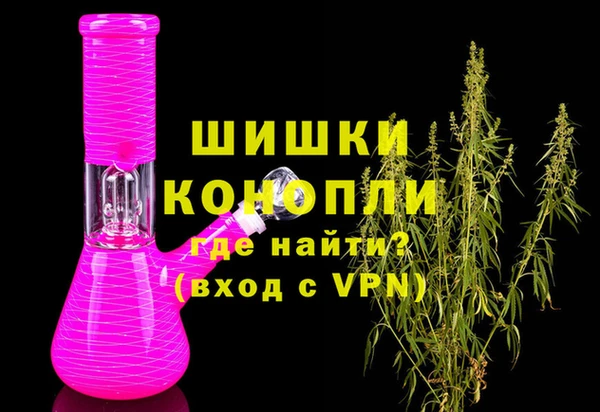 шишки Белокуриха