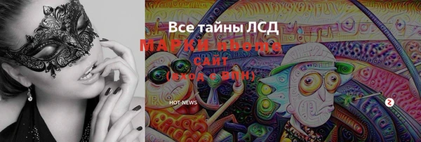 шишки Белокуриха