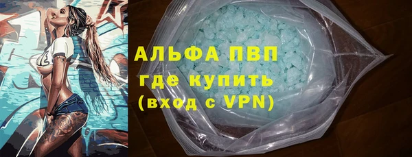 стаф Елизово