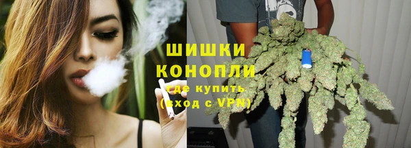 шишки Белокуриха